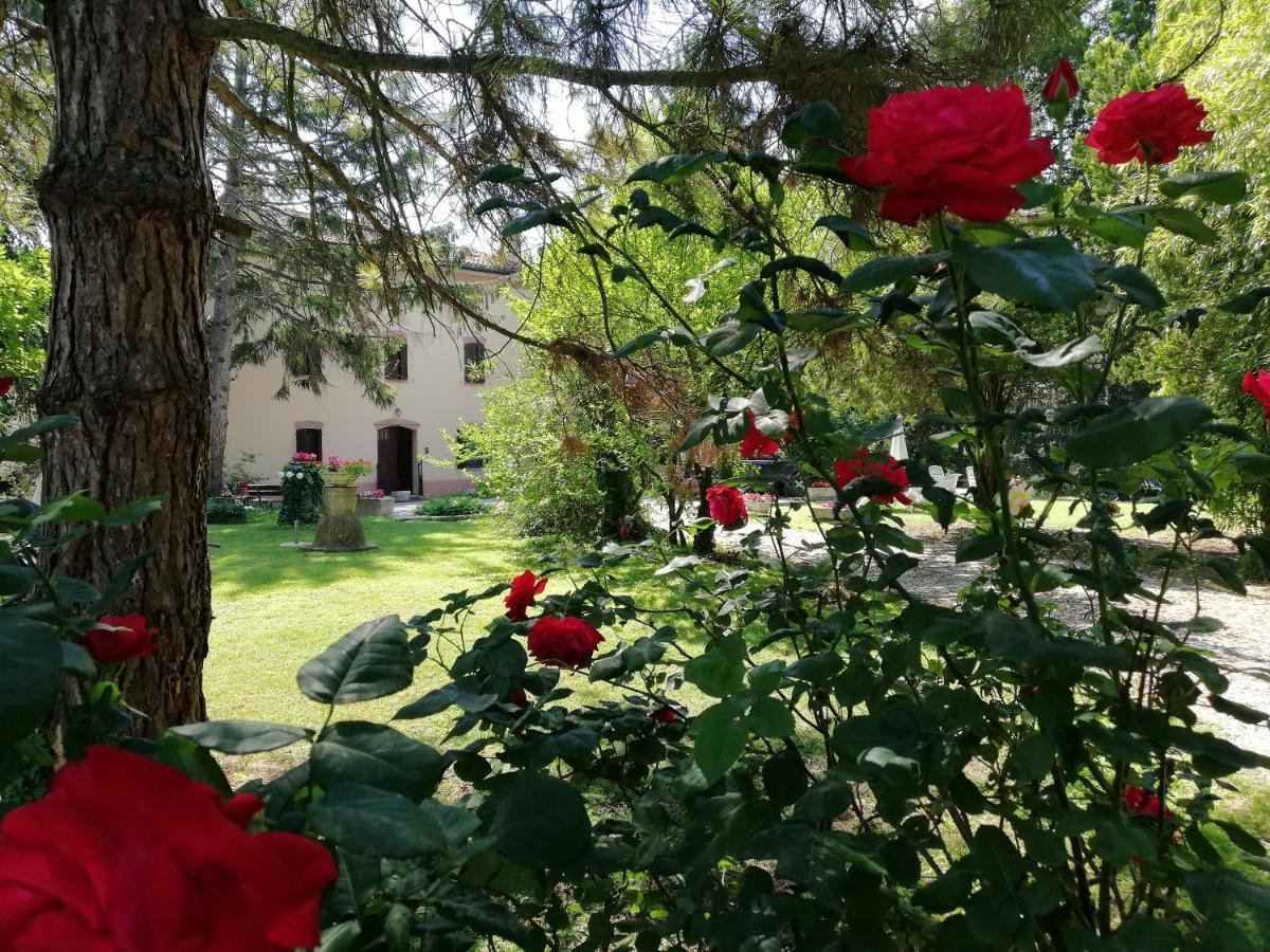 B&B Casa Manuela Mantova Kültér fotó